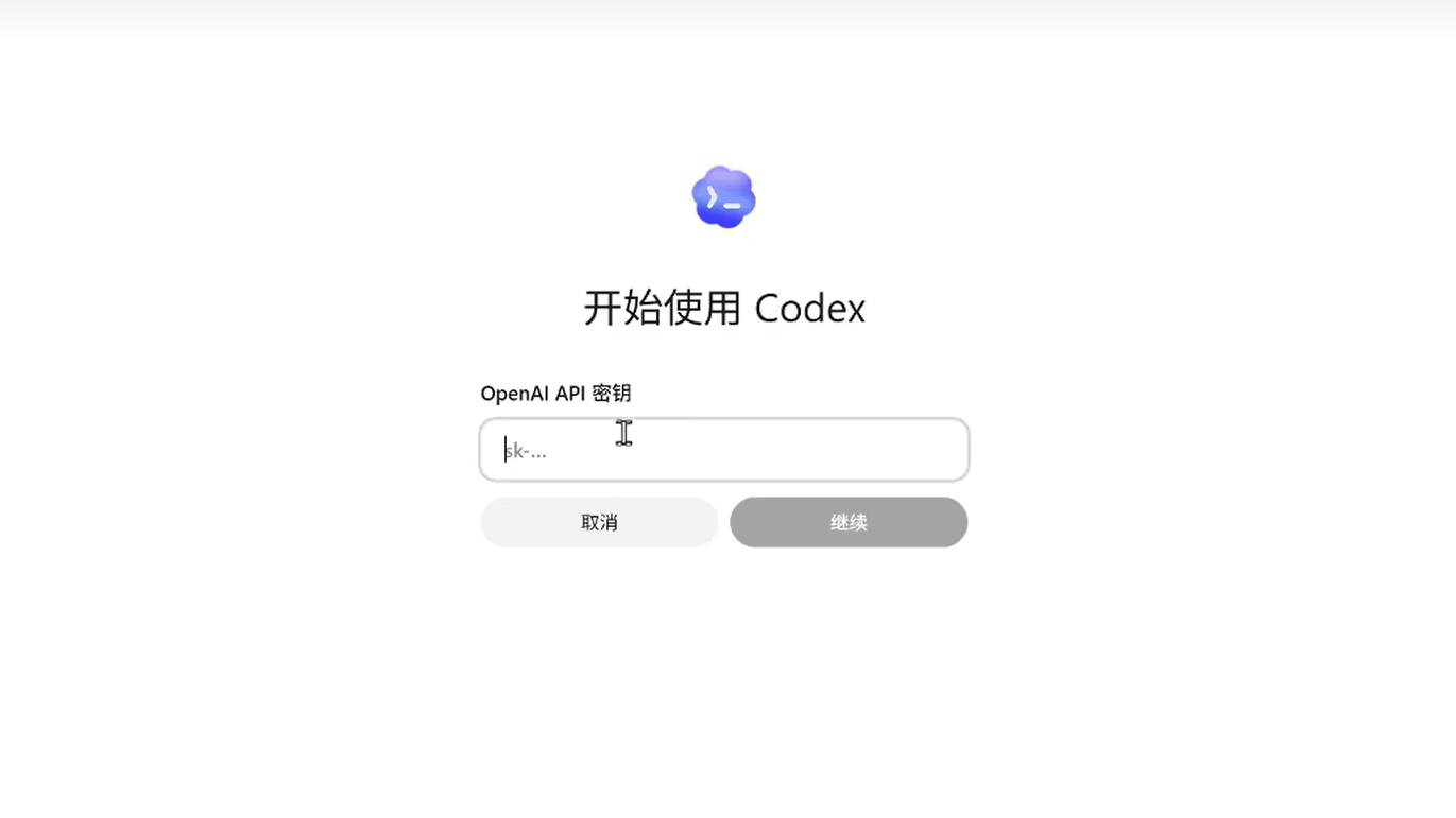 API Key 输入页面，截图中的密钥已隐藏