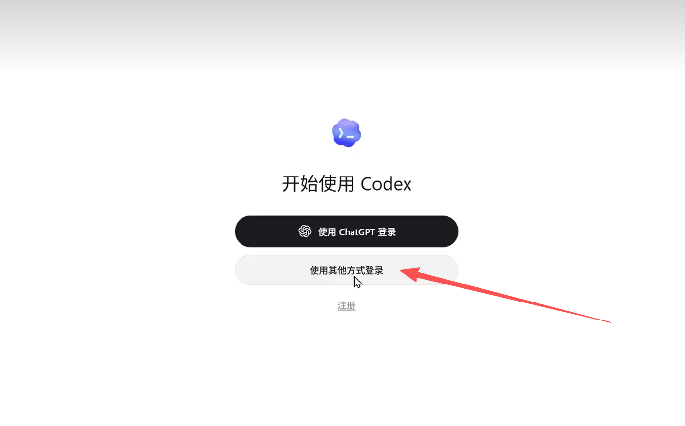 Codex 登录方式选择页面